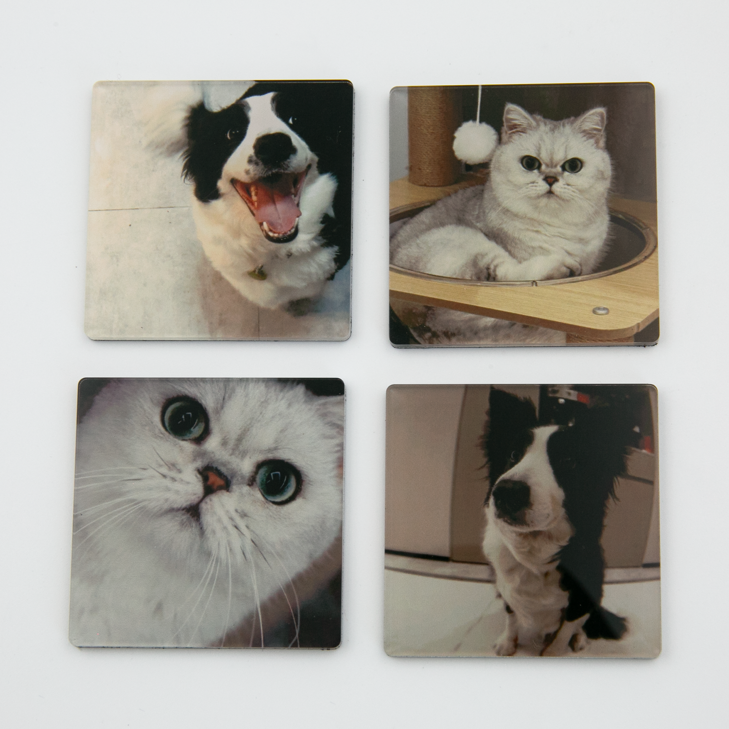 Custom Pet Acrylic Fridge Magnets(SQUARE)