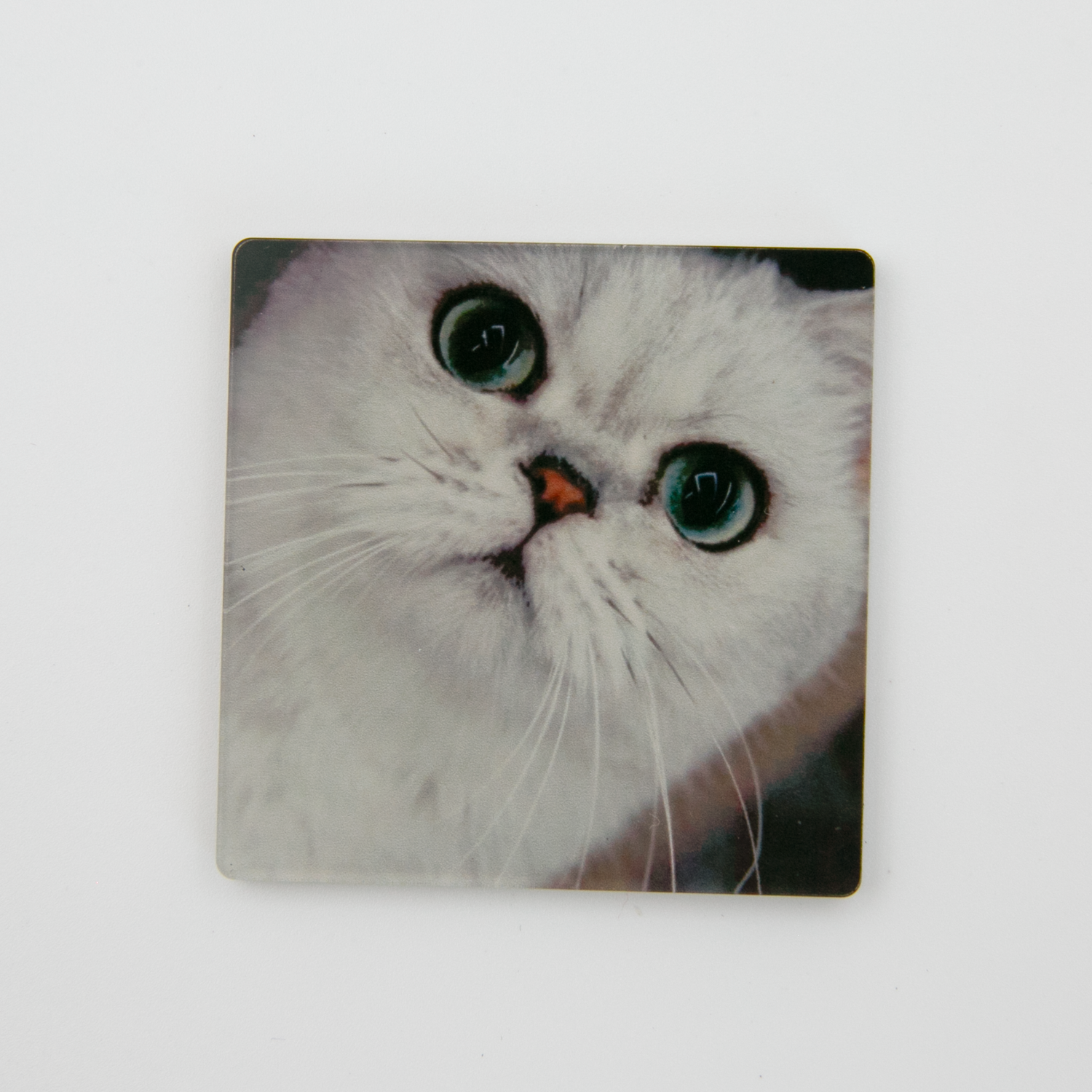 Custom Pet Acrylic Fridge Magnets(SQUARE)